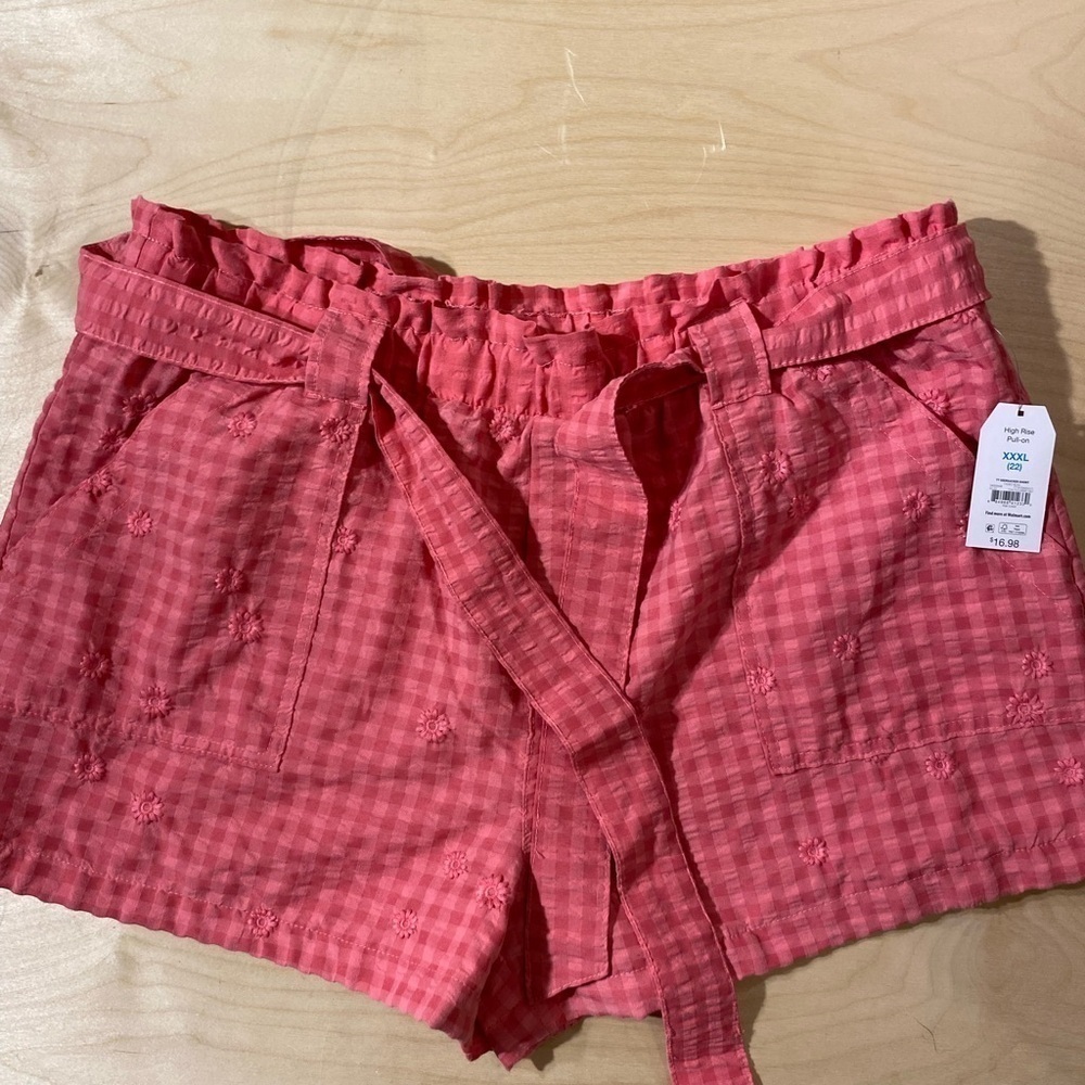 Time and Tru Shorts size 22 (IL)